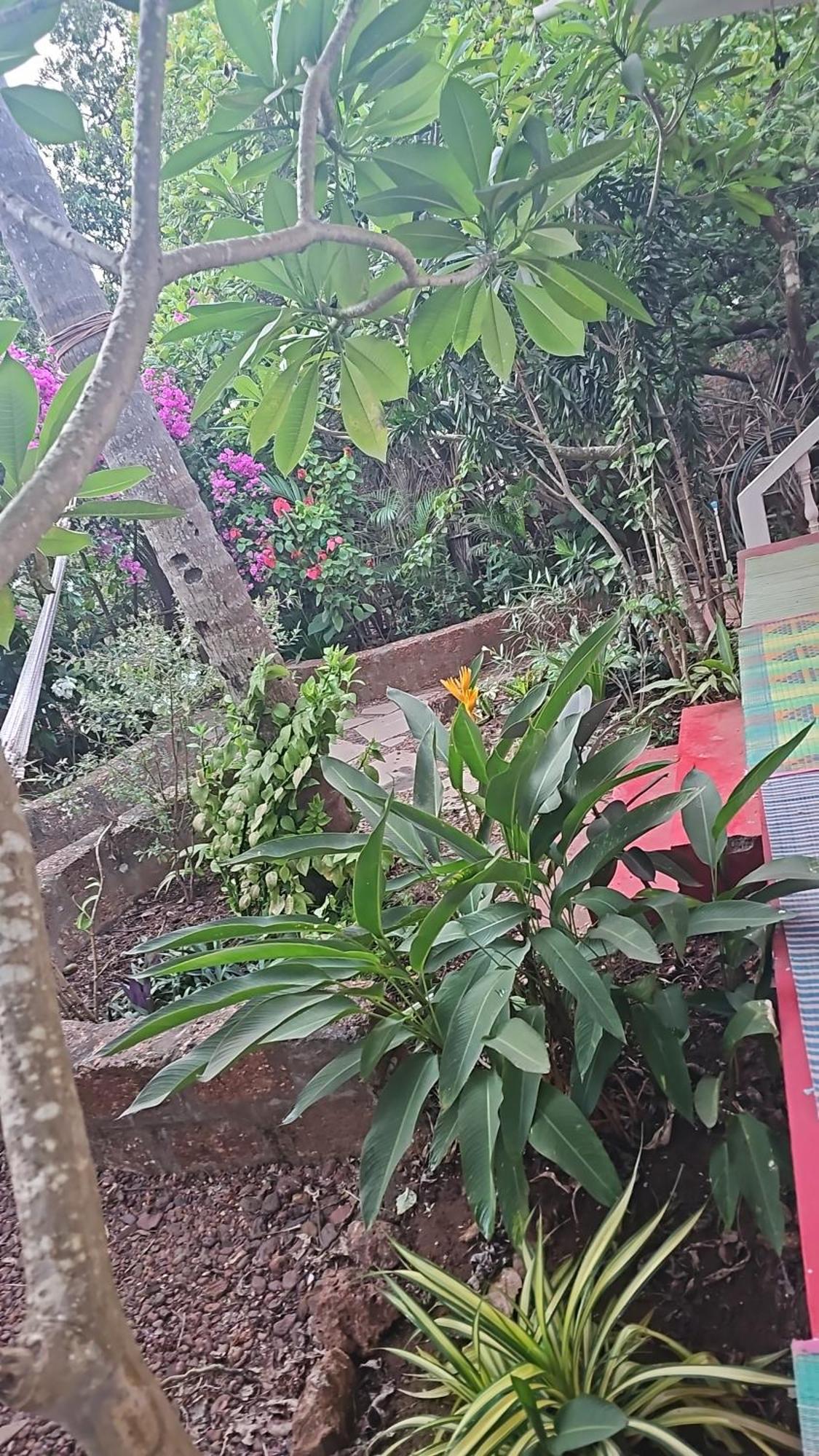 Laxmi Happy Home In Querim Goa Kültér fotó