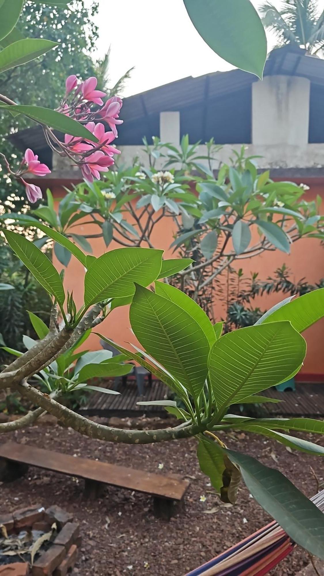 Laxmi Happy Home In Querim Goa Kültér fotó