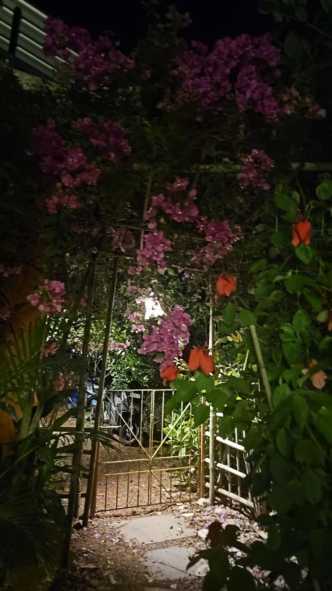 Laxmi Happy Home In Querim Goa Kültér fotó